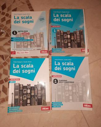 libro la scala dei sogni
