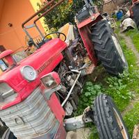 Massey Ferguson 165