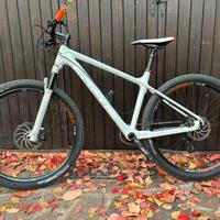 Mtb Focus Raven Factory