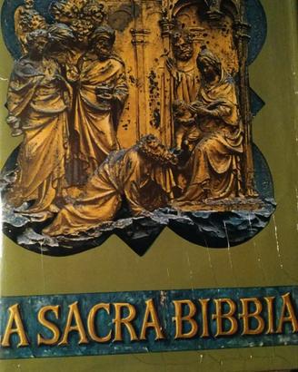 Bibbia da collezione