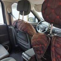  auto scenic anno 2010 