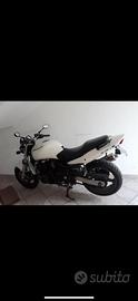 allestimento kawasaki zr7 anno 2001
