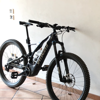 Specialized turbo levo carbon