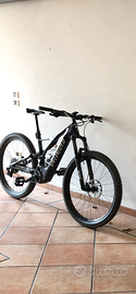 Specialized turbo levo carbon
