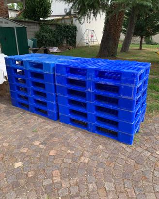 Bancali plastica dura