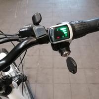 Bicicletta elettrica