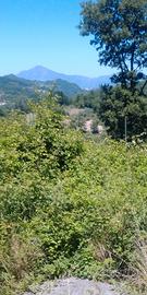 FONDO fiano DOC-mq.16207 a 10 euro/mq-FOTOVOLTAICO