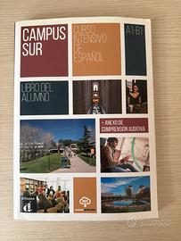Campus sur, curso intensivo de espanol