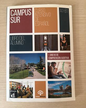 Campus sur, curso intensivo de espanol