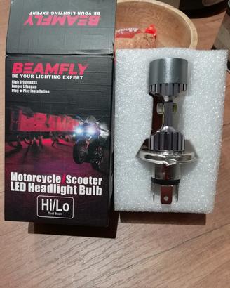 lampadina moto 