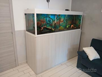 Acquario 620 litri completo e avviato