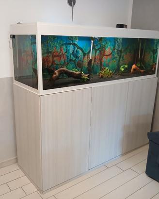 Acquario 620 litri completo e avviato