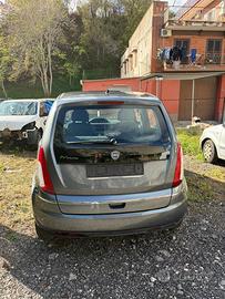 Lancia musa