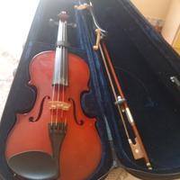 Violino