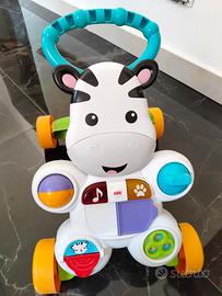 Zebra primi passi + Palestrina neonato