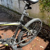 Bici MOUNTAIN BIKE