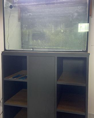 Mobile con ACQUARIO
