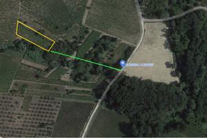 Terreno Agricolo Vigneto