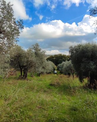 Terreno agricolo ad Acquaviva di Nerola