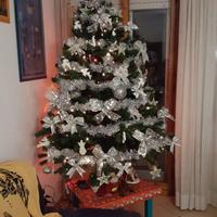 albero di natale senza addobbi 