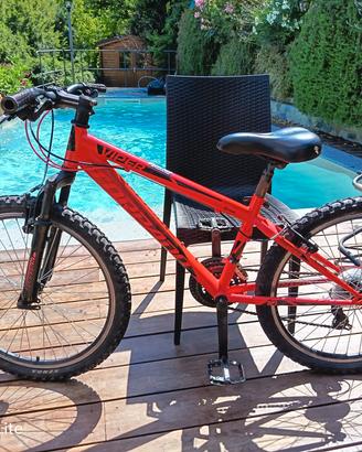 MTB Torpado Viper 24"