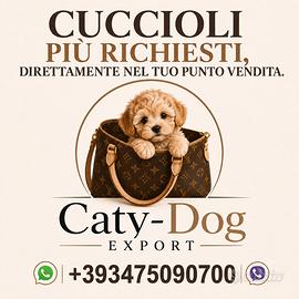 Cuccioli di tutte le razze