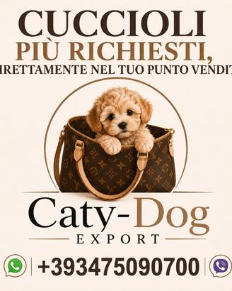 Cuccioli di tutte le razze