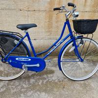 City Bike Garda Line  nuova