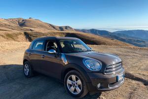 Mini Countryman One D
