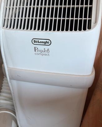 Pinguino de longhi