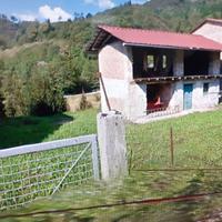 Nimis rustico da ristrutturare