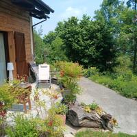 Chalet tra i boschi