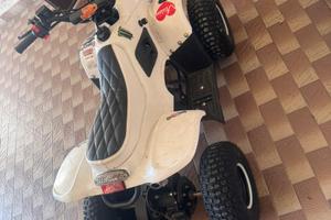Quad 50cc