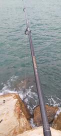daiwa ags tournament  15/50