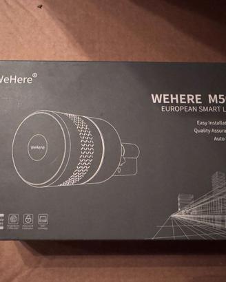 Serratura per porta Smart Bluetooth wehere m501