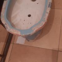 Bidet ( verde chiarissimo, celeste, bianco )