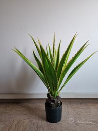 agave pianta artificiale 