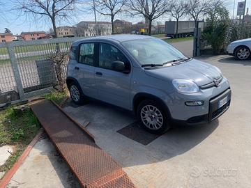 Fiat Panda 1.0 FireFly S&S Hybrid Icon noleggio