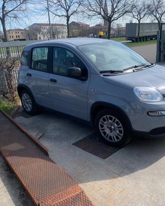 Fiat Panda 1.0 FireFly S&S Hybrid Icon noleggio