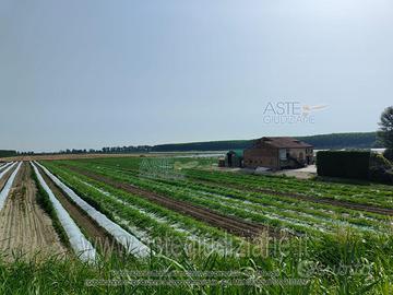 Terreno Agricolo Sermide e Felonica [A4330937]