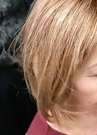 infoltitore capelli "topper"