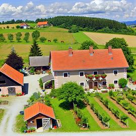 Rif.3114| attivita'/lic.commerciale rivignano teo