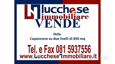 Nola Cis Di Nola Rif. 701C