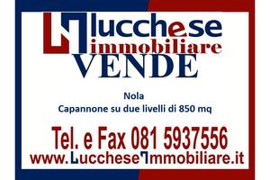 Nola Cis Di Nola Rif. 701C