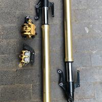 Forcelle Triumph + pinze