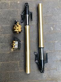 Forcelle Triumph + pinze