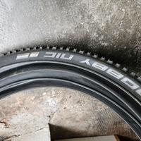 Schwalbe Rapid Rob

