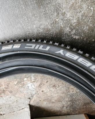 Schwalbe Rapid Rob

