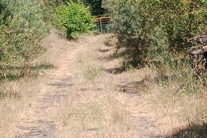 Terreno agricolo monacella