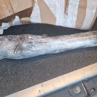 centrale formentor 2.0 190cv 